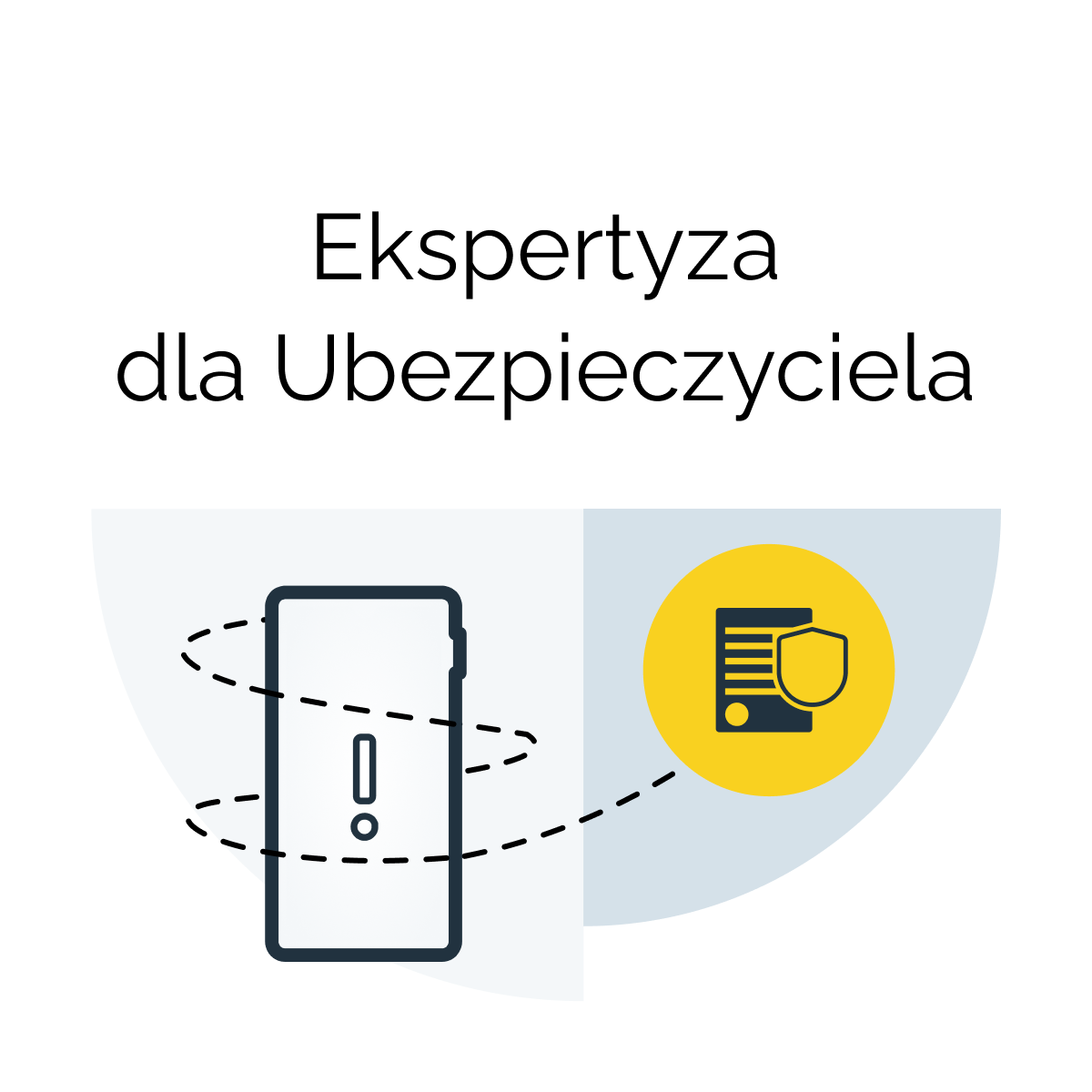 Ekspertyza dla ubezpieczyciela iPhone