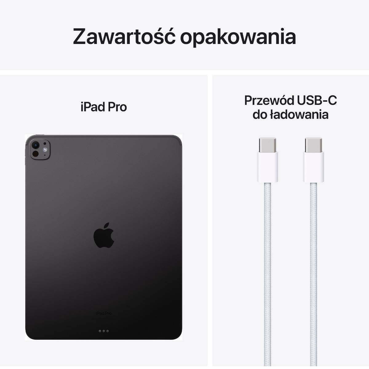 13-inch iPad Pro WiFi 256GB with Standard glass - Space Black