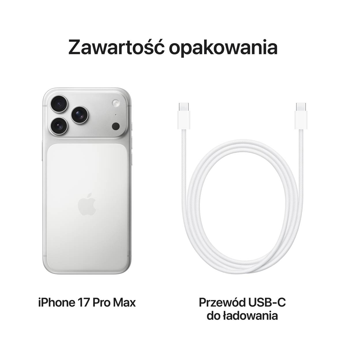 iPhone 17 Pro Max 256GB Silver